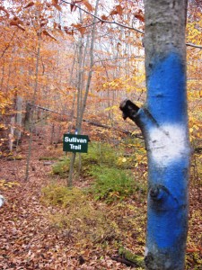 trails 10-31 (6)