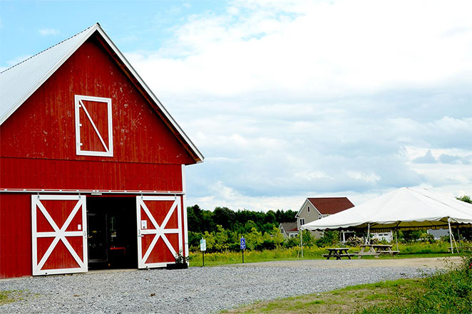 South Village: About the Area