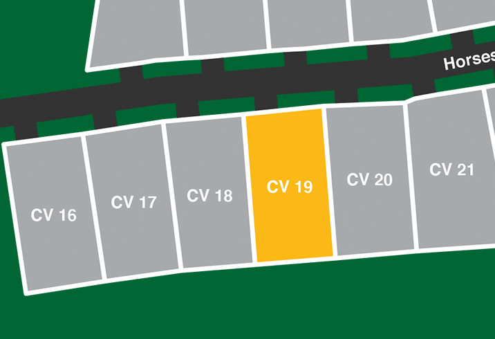 Cv 19