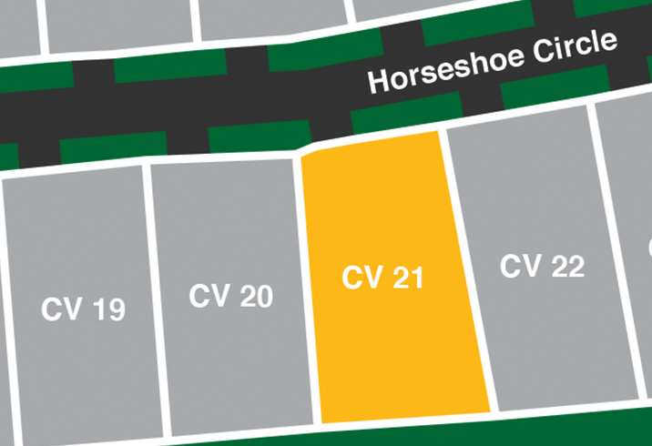 Cv 21