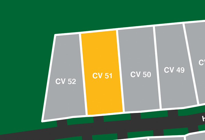Cv 51