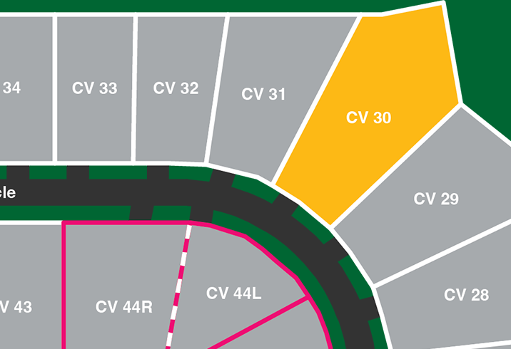 Cv30 Site
